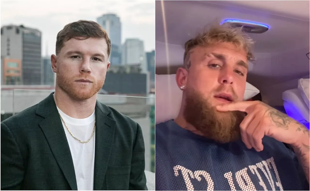 Canelo Álvarez le responde a Jake Paul; 'Put... youtuber, enfrento a verdaderos peleadores'