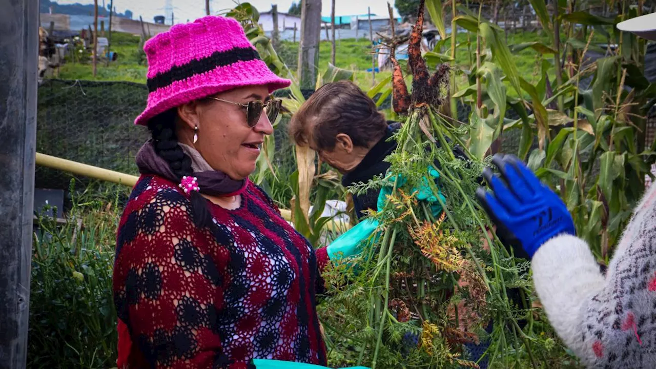 Con huertas comunitarias, campesinas de Bogotá resisten a la urbanización