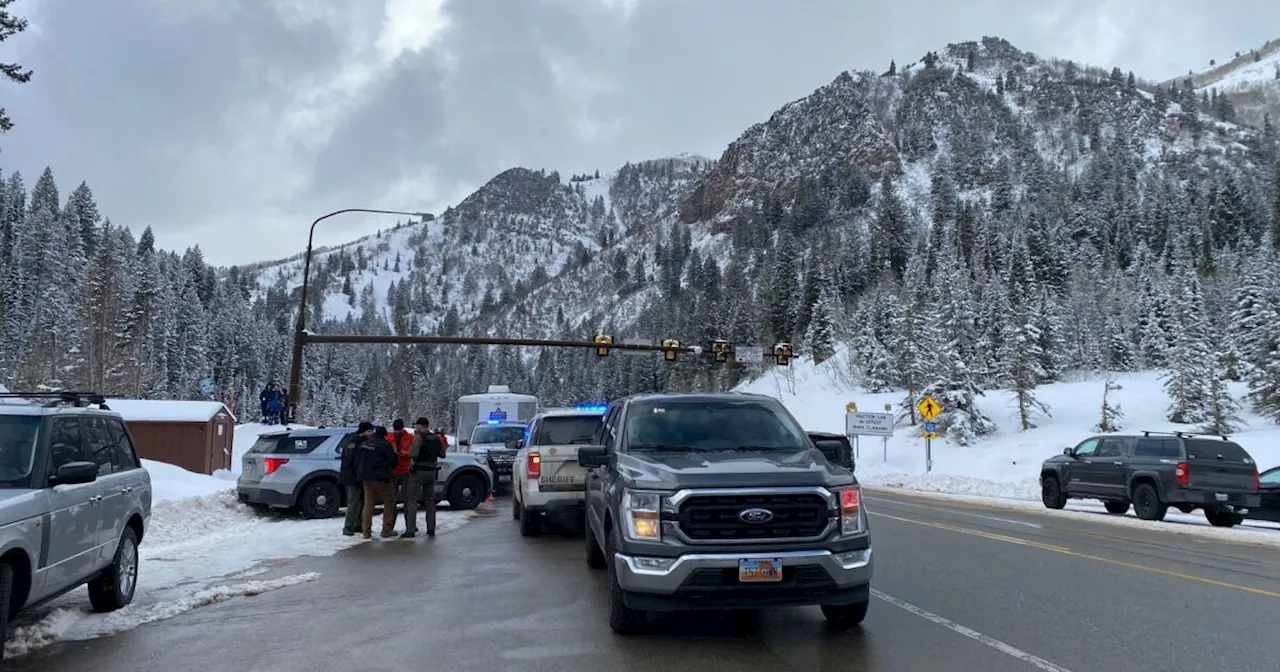 Avalanche in Big Cottonwood Canyon Claims One Life, Injures Another