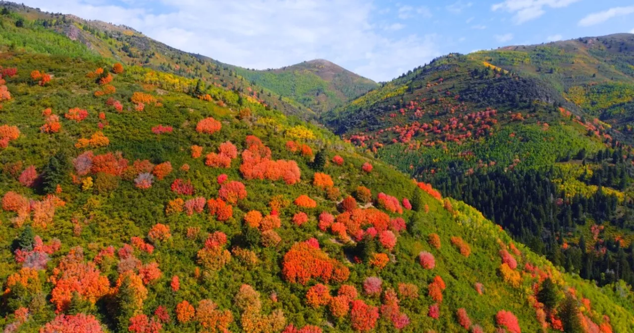 Utah lawmaker proposes Big, Little Cottonwood canyons state parks