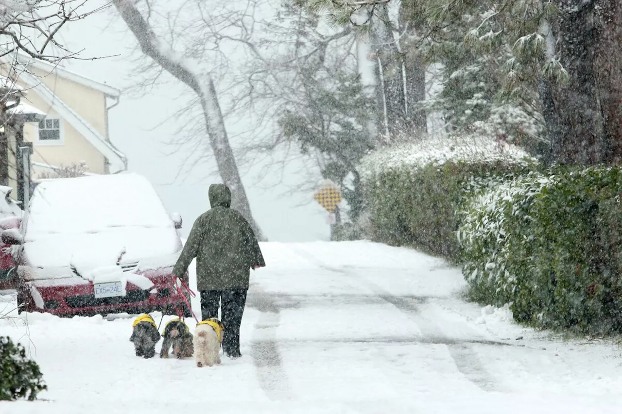 More Snow and Arctic Outflow Expected in British Columbia