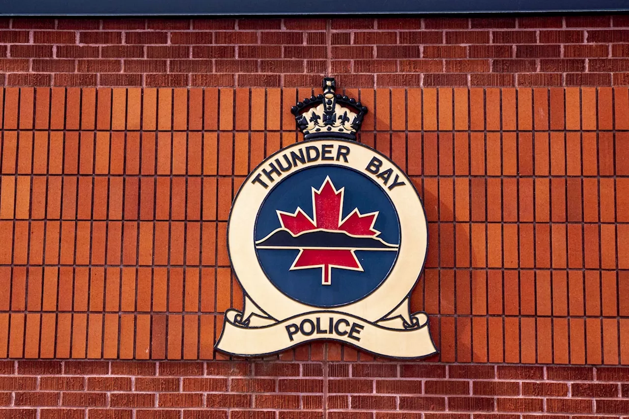 Police arrest 12 in Thunder Bay accused of hacking intimate images of more than 100 victims