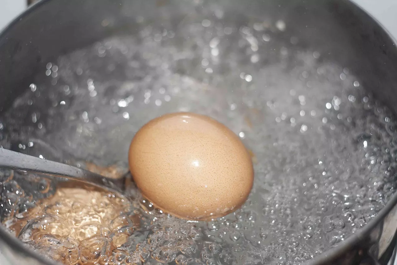 Scientists Discover a New Method for Boiling Eggs that May Enhance Nutritional Content