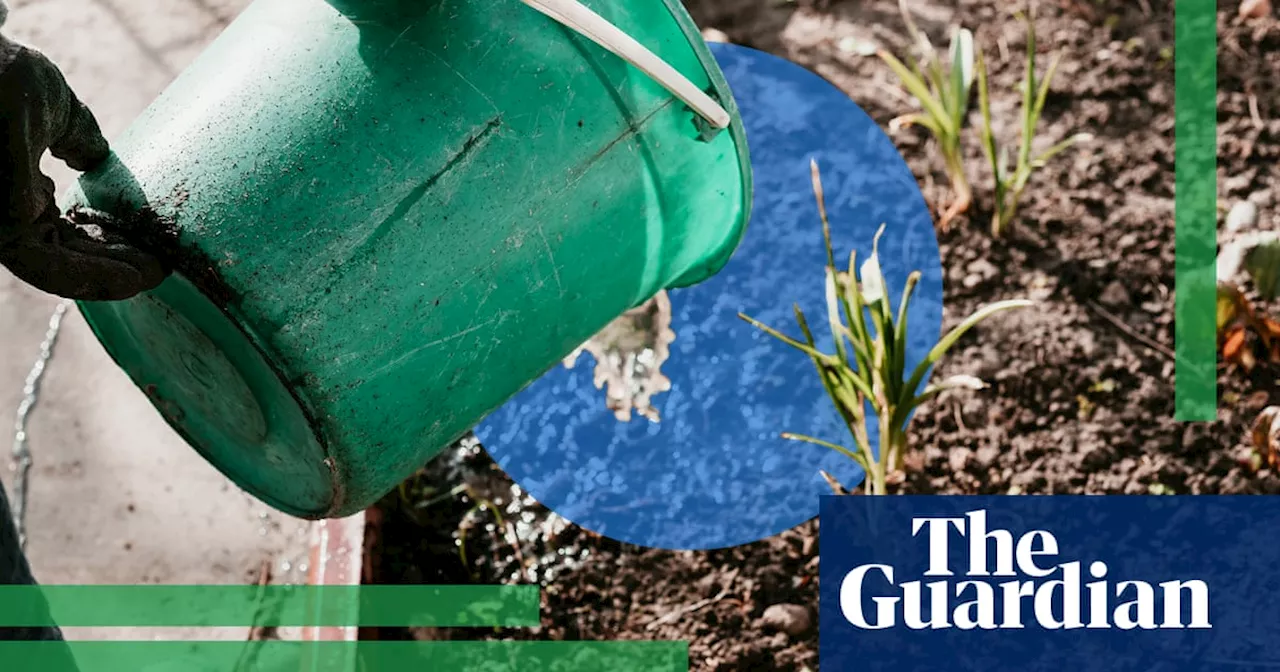 Greywater Systems: A Guide to Conserving Water in Australia