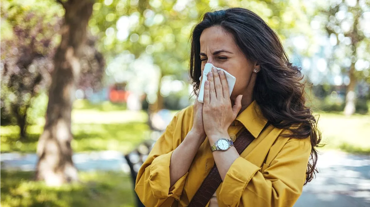  'Besser gebildete Menschen haben häufiger Allergien'