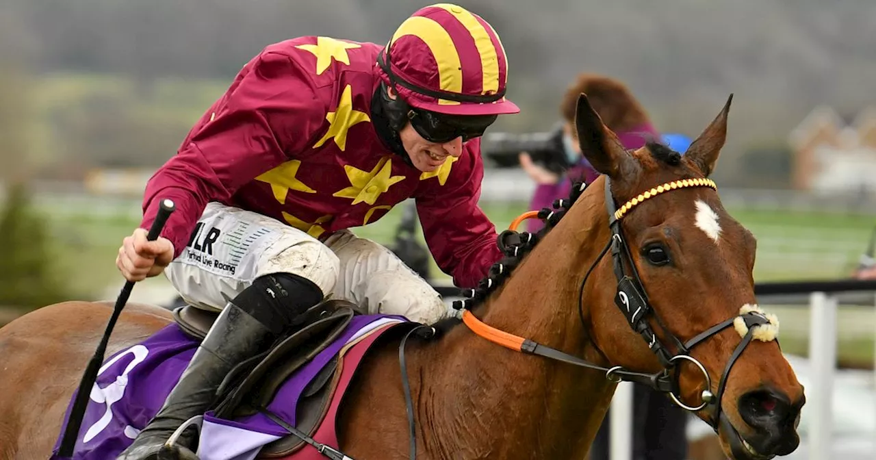 Gold Cup winner back over hurdles for first time in years ahead of National tilt