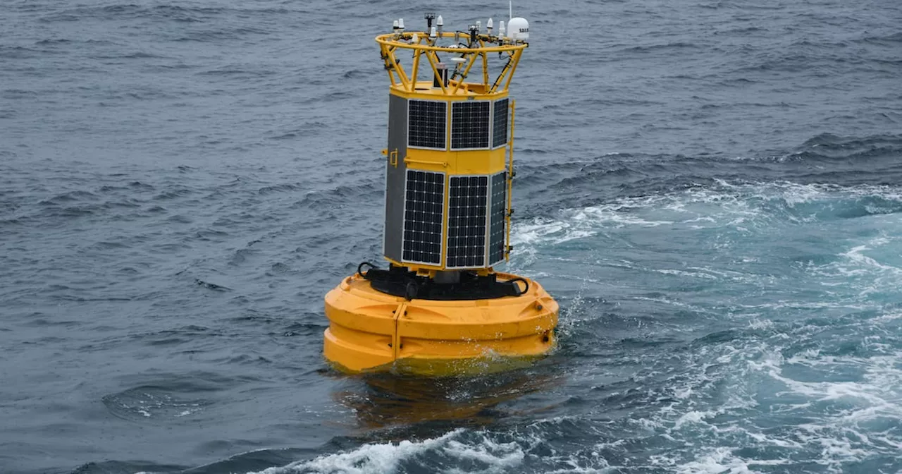 Irish Data Buoys Withstand Storm Éowyn, Delivering Crucial Weather Information