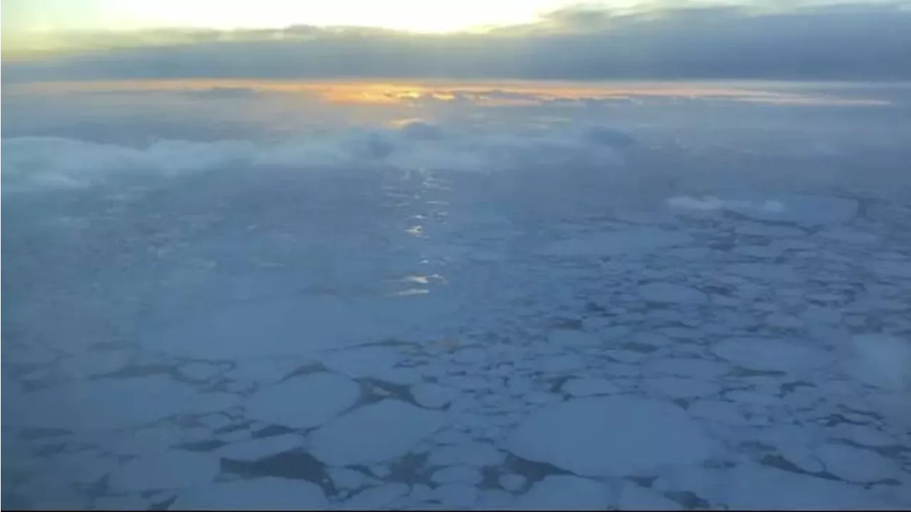 Nasib Pesawat yang Hilang di Alaska Terjawab, Jatuh di Laut Es dan Seluruh Penumpangnya Tewas