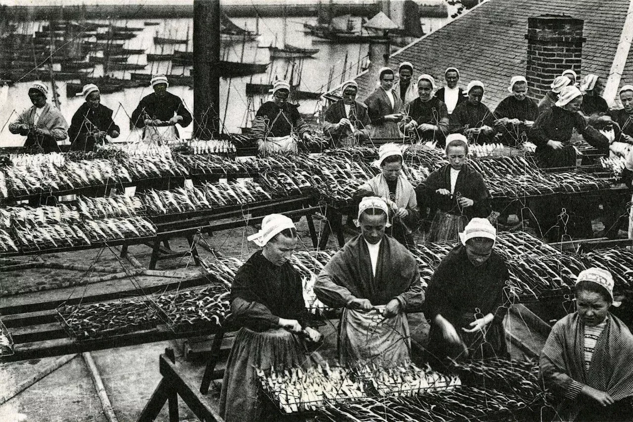 Le Réveil des Sardinières