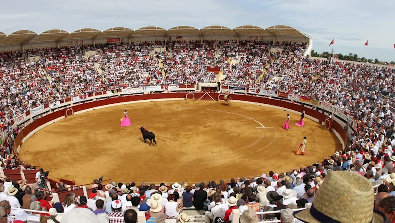 Corrida: Vic-Fezensac Maintient la Tradition Malgré les Critiques Financières