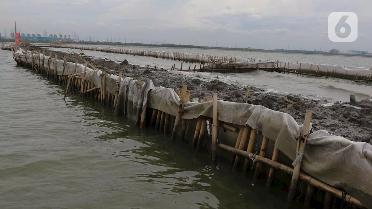 Kasus Pagar Laut di Tangerang: Ujian Integritas Penegakan Hukum