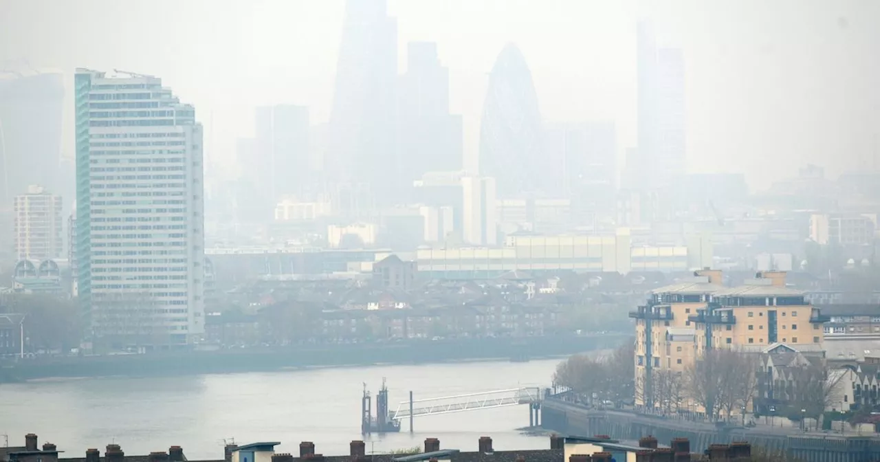 Air pollution clouds the mind and destroys focus, scientists reveal