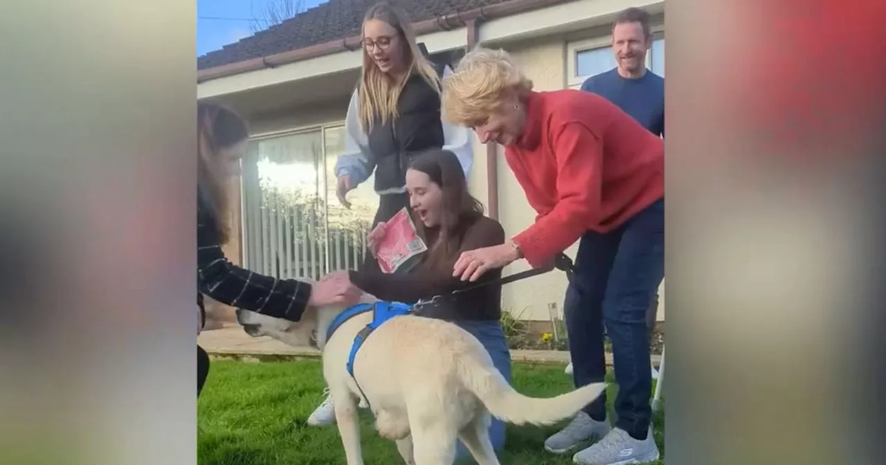 Emotional moment dog returned to owners EIGHT YEARS after being stolen