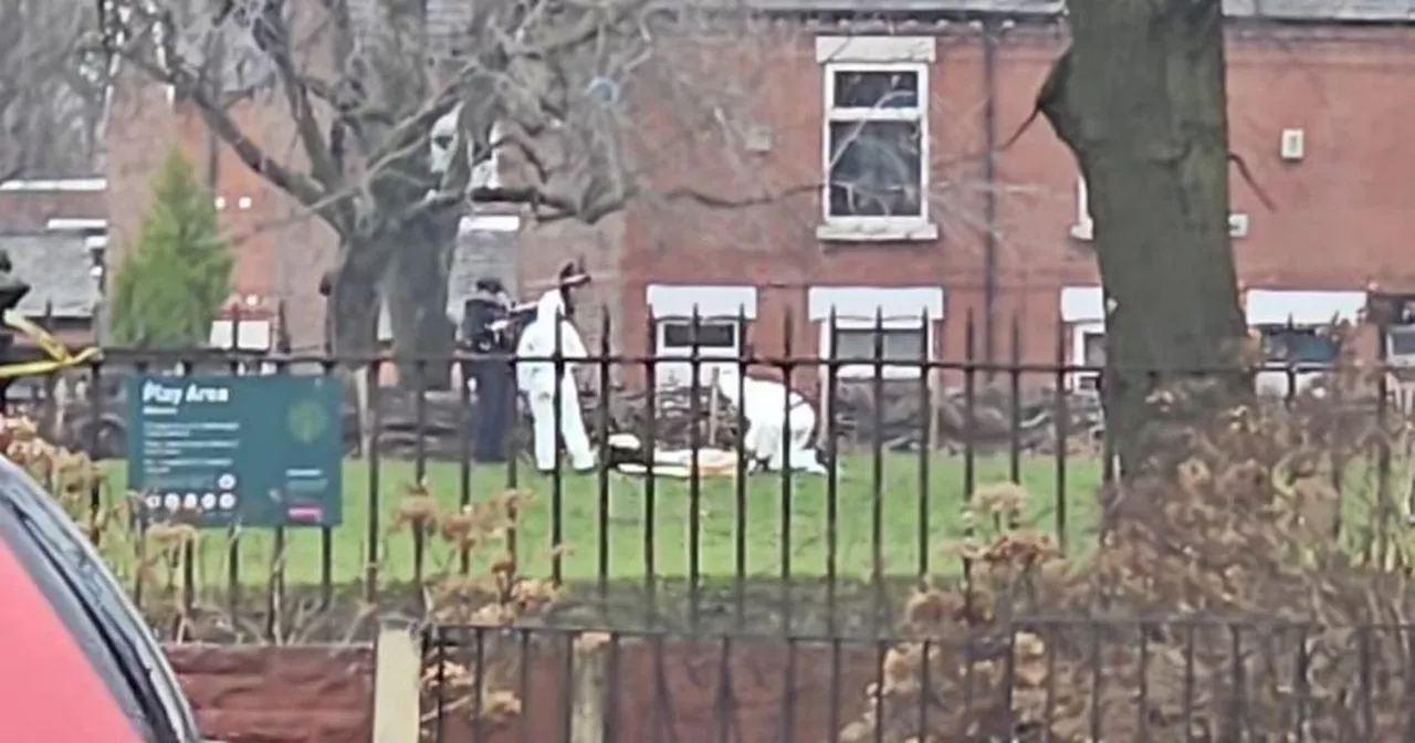 Firearm Found in Salford Park: Police Conduct Thorough Search