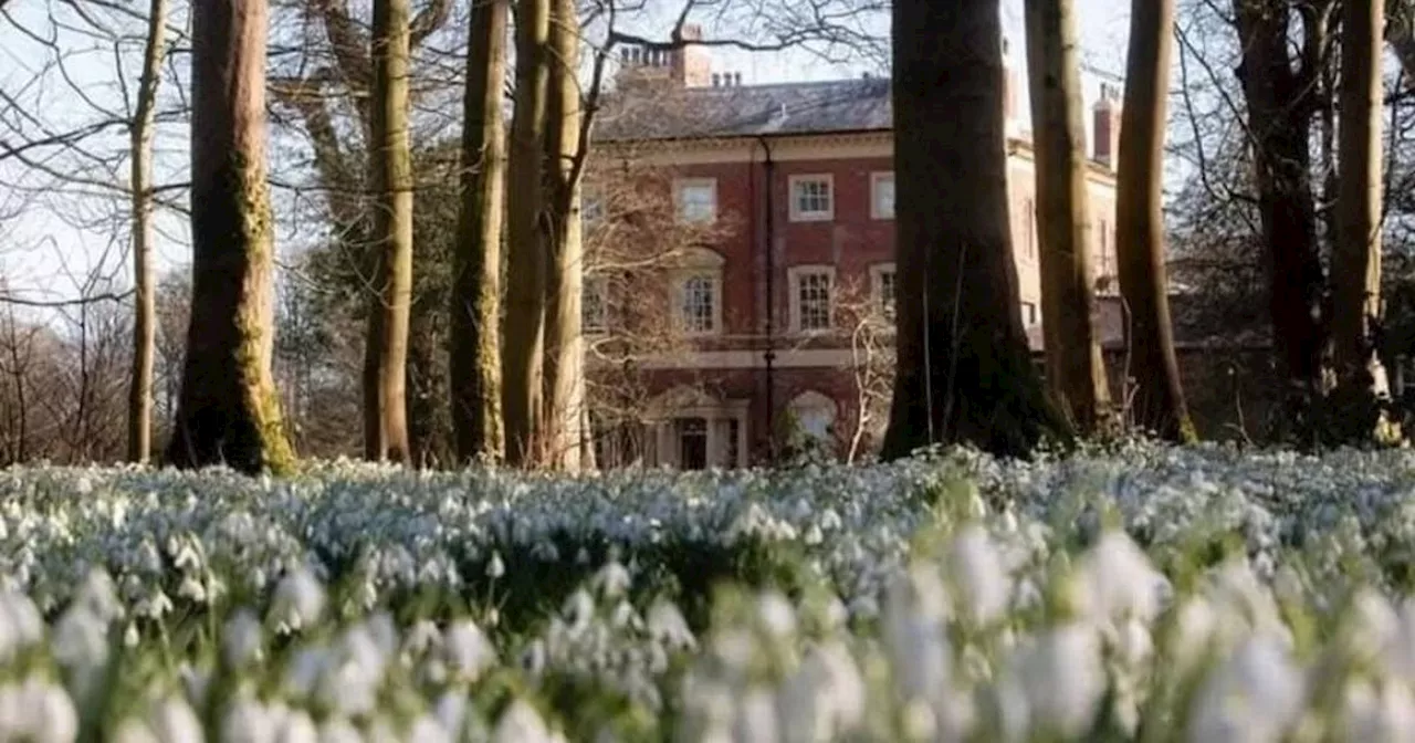 Lytham Hall Blooms with Snowdrops and Offers a Springtime Escape