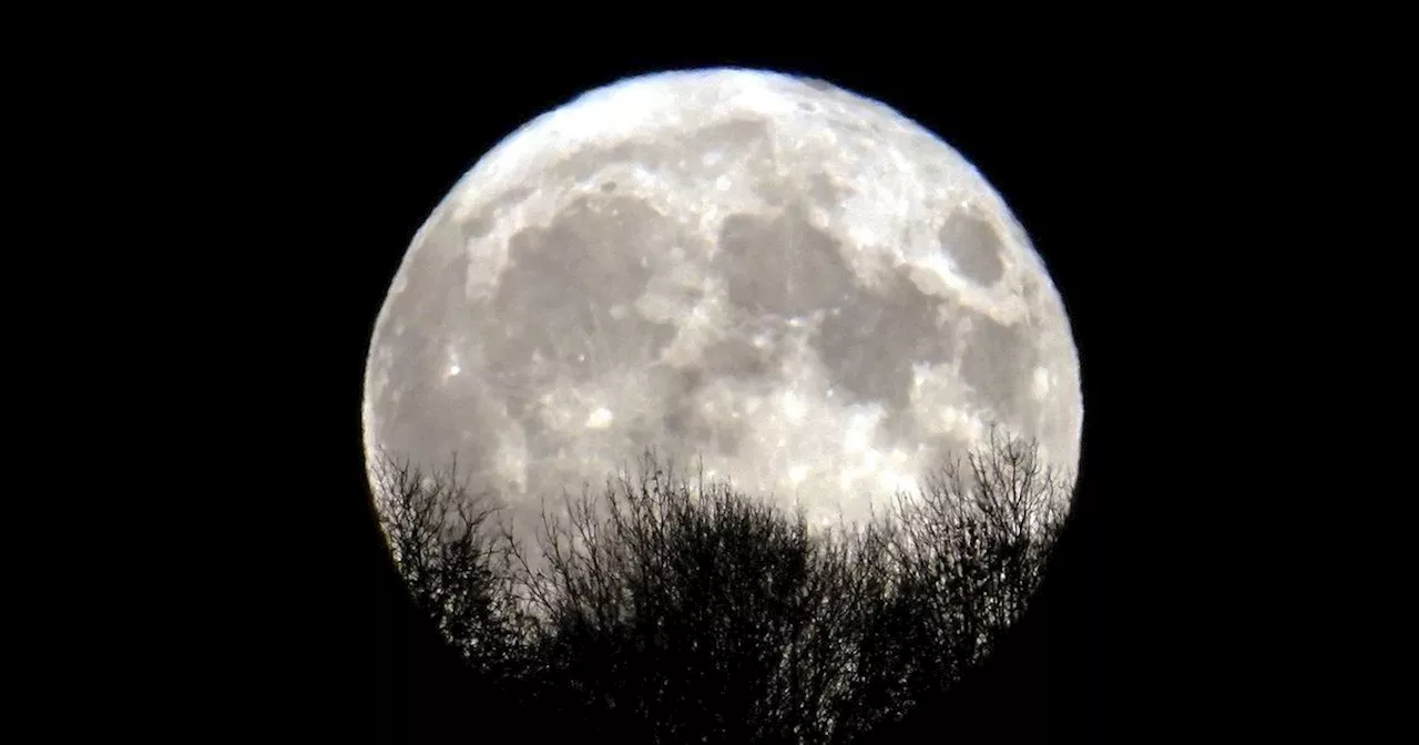 Snow Moon to Light Up UK Skies Next Week