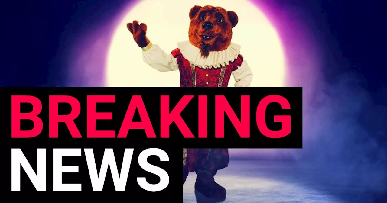 Bear Revealed as Example on The Masked Singer UK