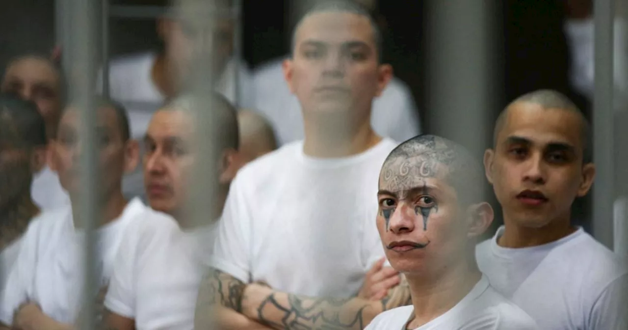 Trump Offered El Salvador's Mega-Prison to Deport Criminals