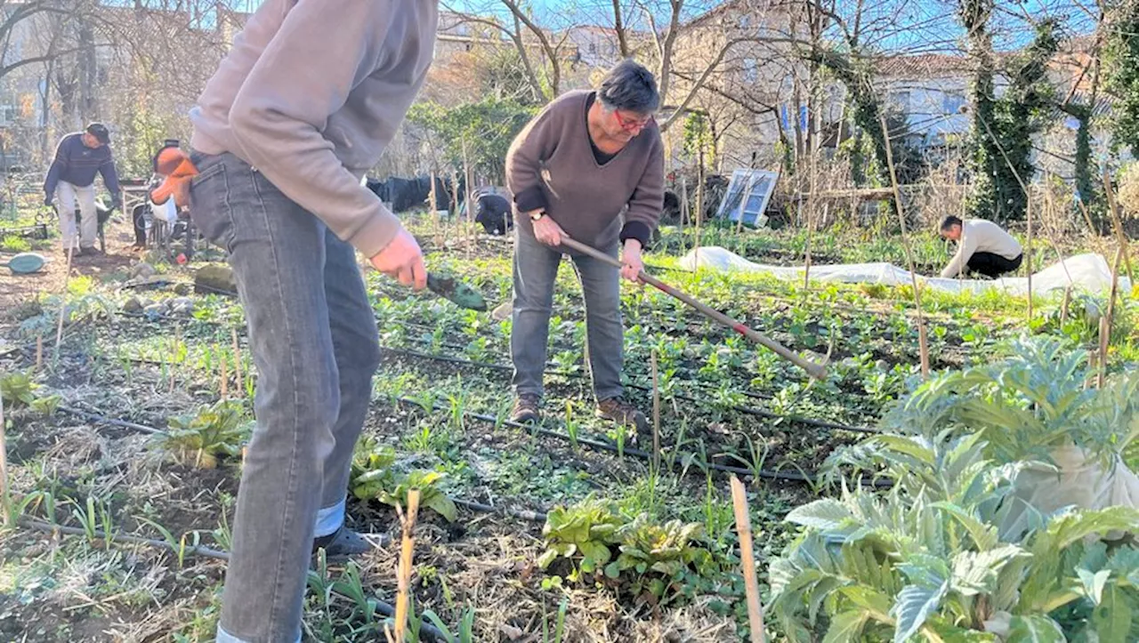 'C’est l’endroit où l’on peut échanger et sourire' : avec Terre en partage à Lodève, la création de liens pous