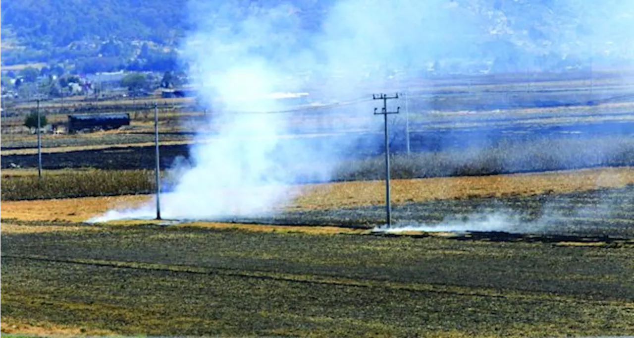 Acachan a Agricultura 28% de los incendios forestales