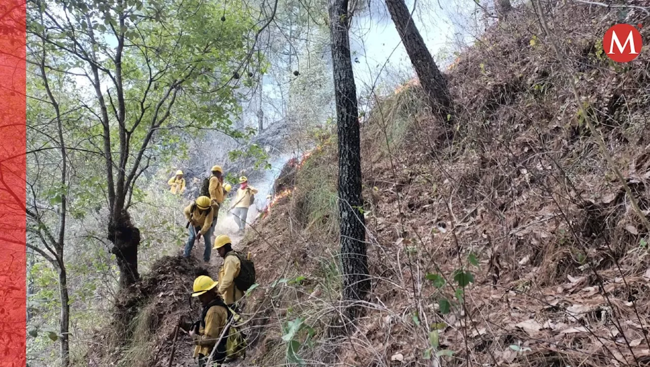 Puebla registra alta incidencia de incendios forestales en enero