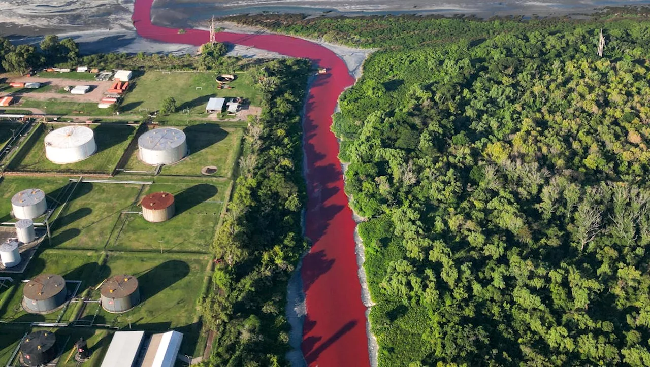 Un río se tiñó de rojo de un día para otro; estás son las apocalípticas imágenes: 'Parece un arroyo de sangre'