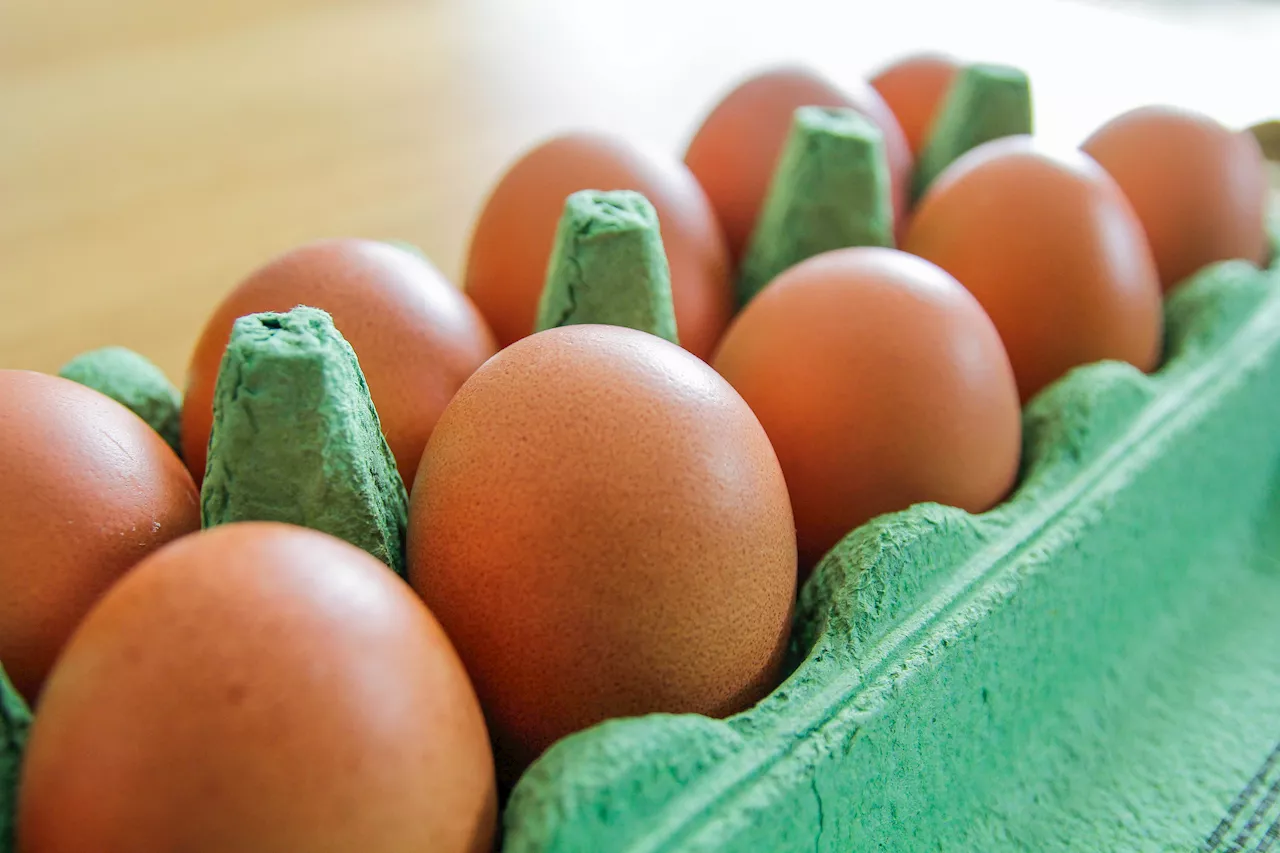 Costco Limits Egg Purchases Amid Nationwide Bird Flu Shortages