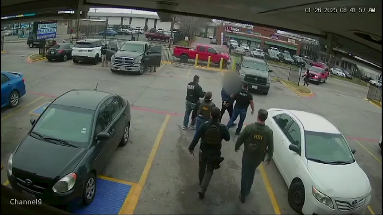 ICE Video Shows Targeted Operation in North Dallas Resulting in Over 80 Arrests