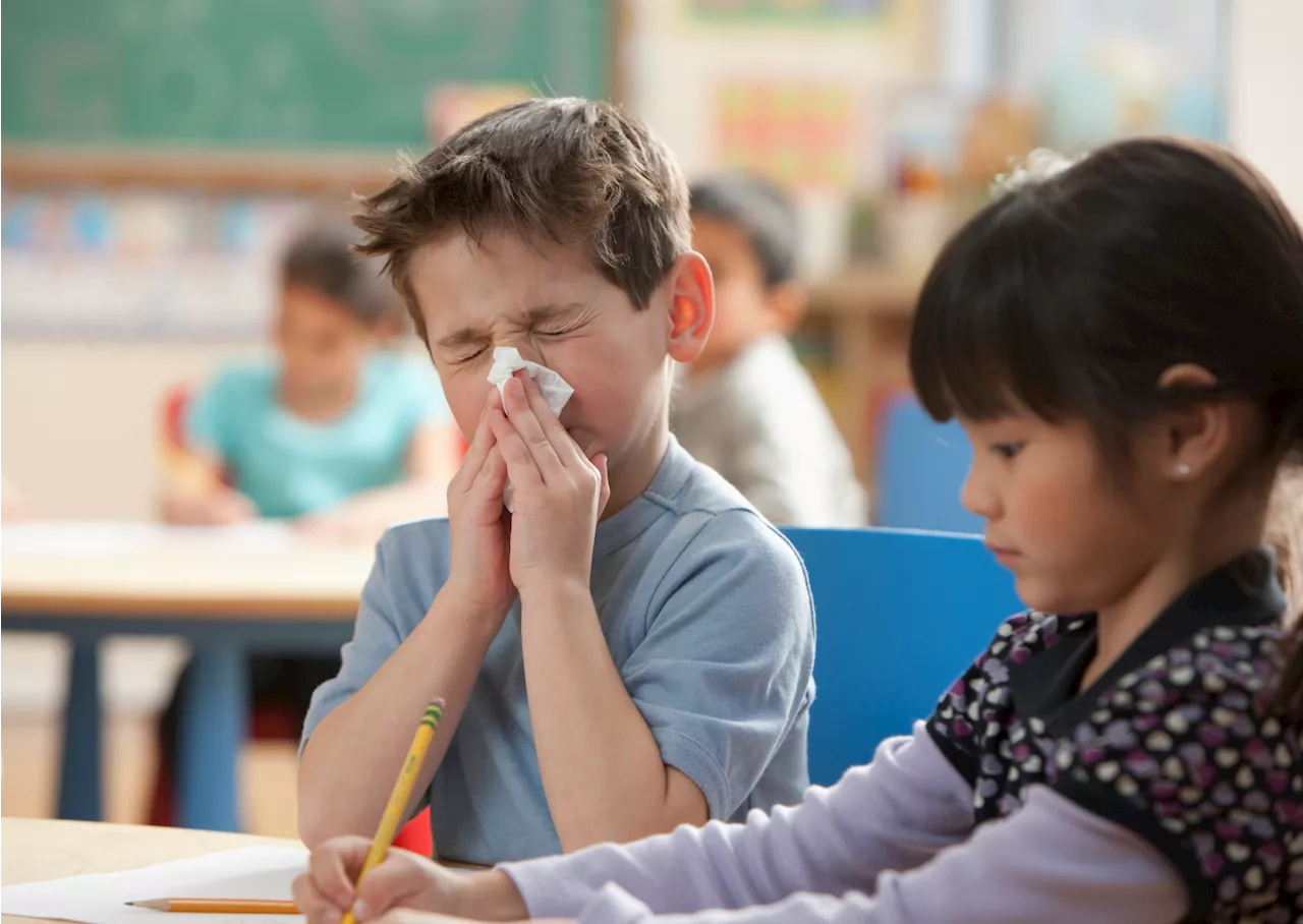 Schools Across the US Shutter Due to Surge in Flu Cases