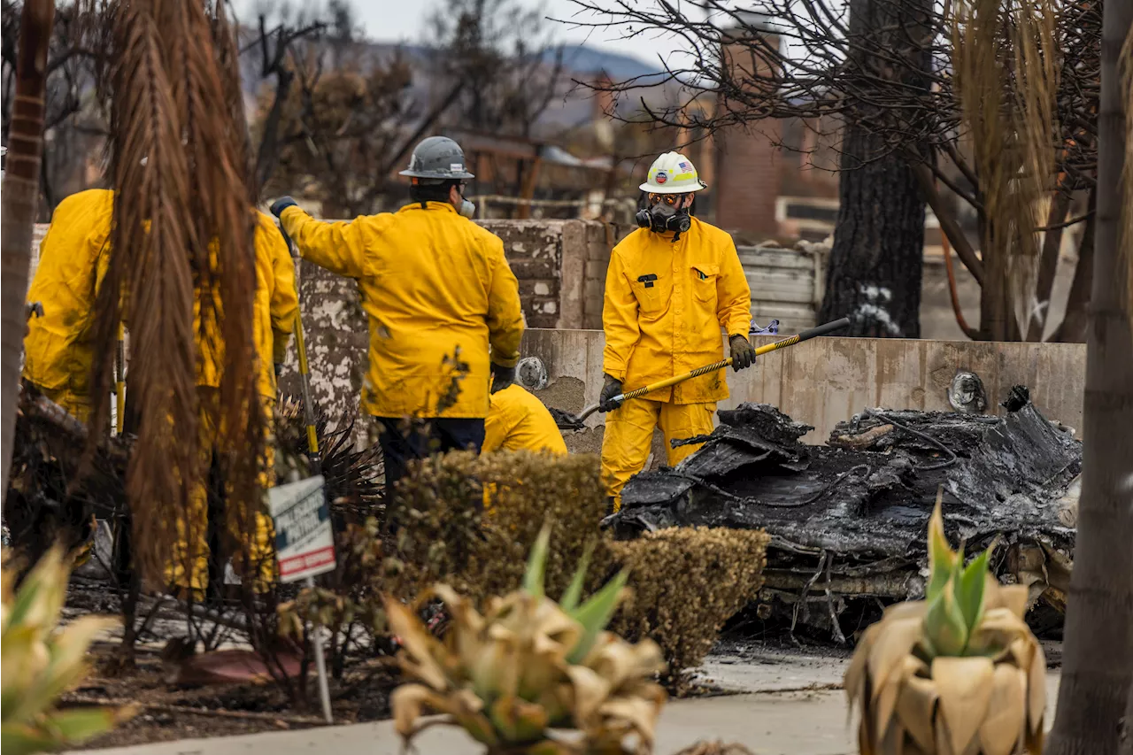 How the EPA is handling the unprecedented lithium-ion battery removal in wildfire burn areas