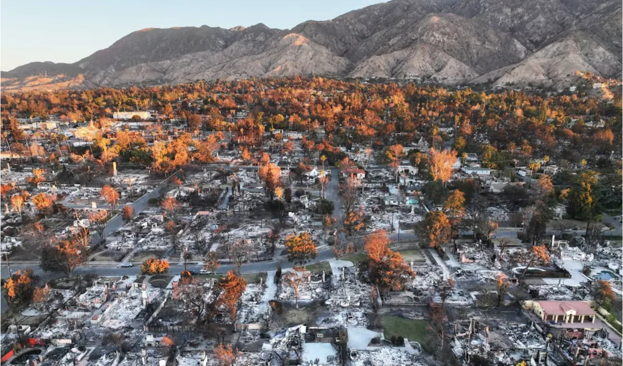 USC researchers test wildfire burned soil for lead levels. Here's what they found