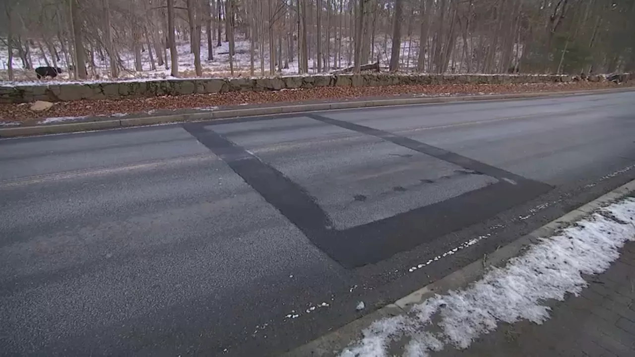 Boston installs 13 speed humps on Jamaica Plain road, removes them weeks later