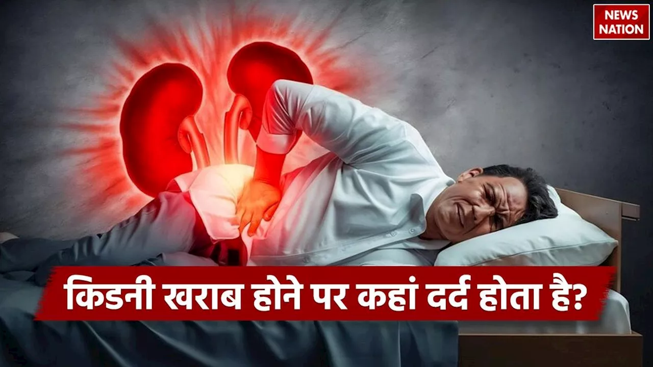 किडनी खराब होने से कमर में दर्द होता है क्या? घर बैठे पता करें Kidney ठीक है या नहीं