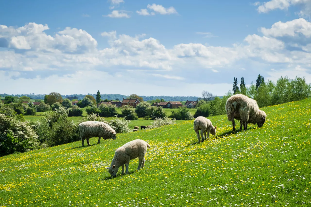 Éanna Ní Lamhna: The Irish counties that see Spring last