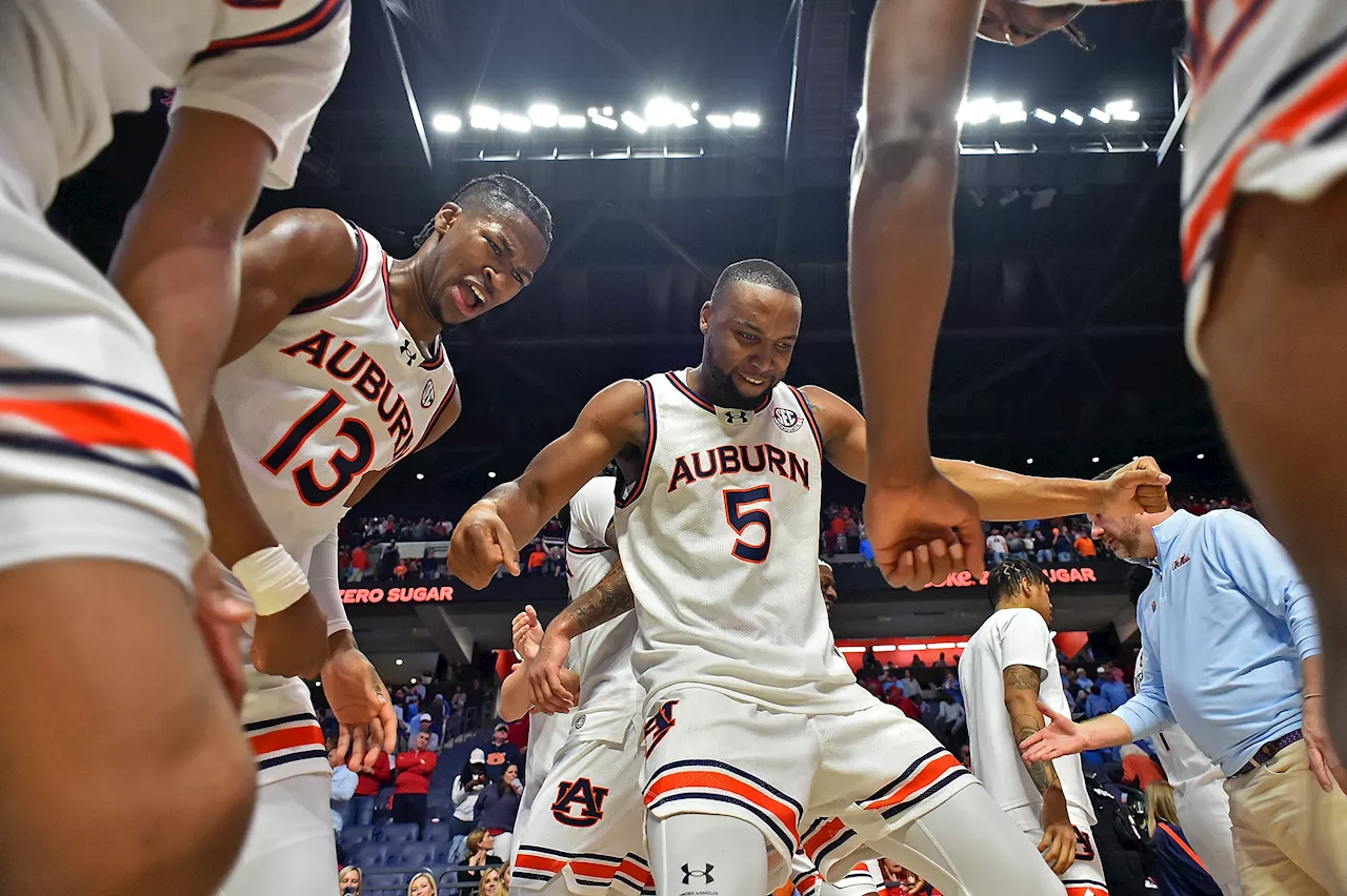 How to Watch Florida vs Auburn: Live Stream Men's College Basketball, TV Channel