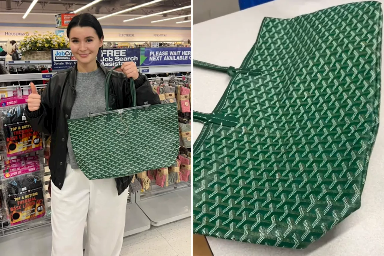 Sisters Find $14.99 Goyard Bag at Goodwill, Spark Viral Frenzy