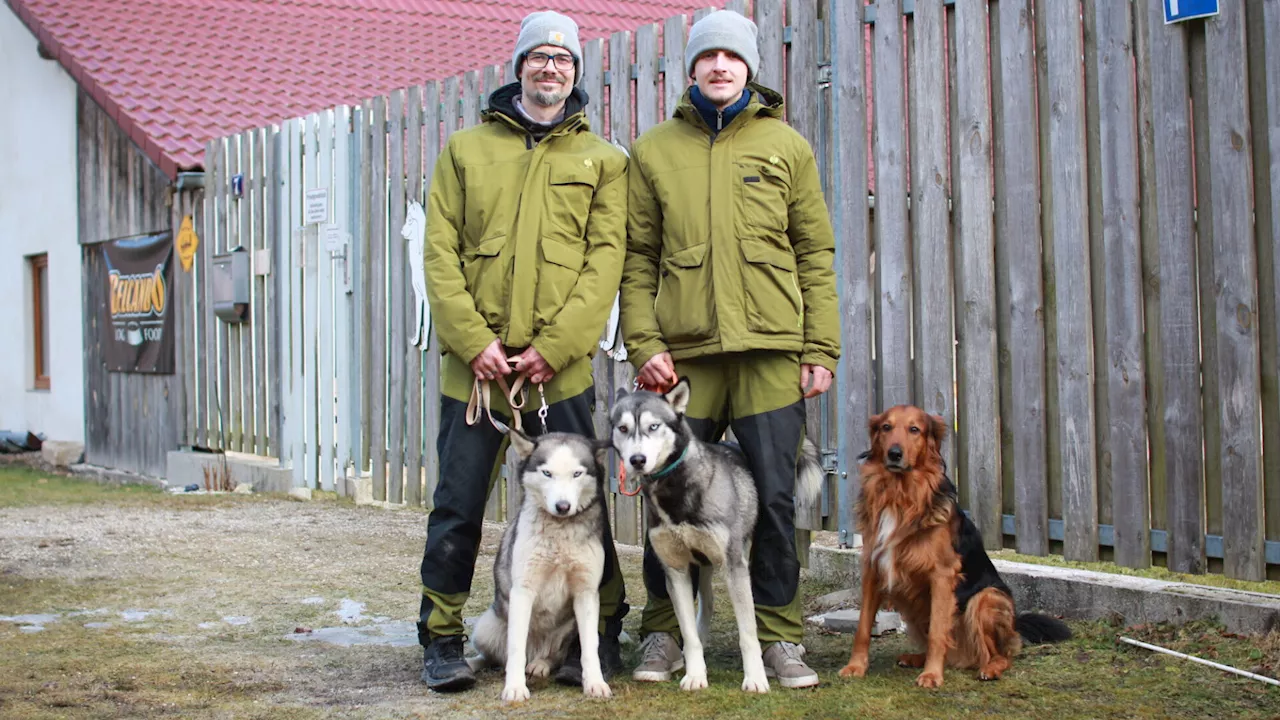 Huskyhof Waldviertel: Mensch und Tier als Team