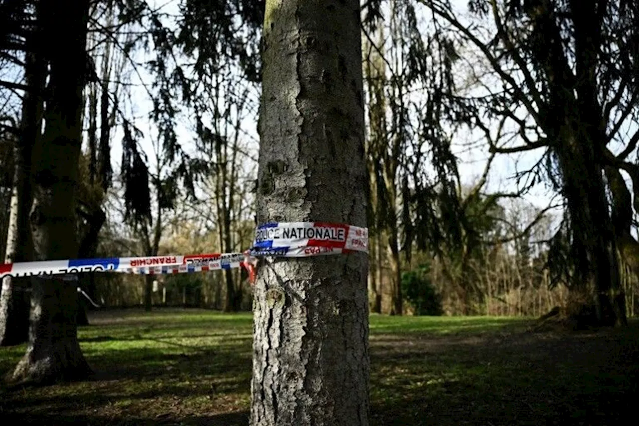 Enquête pour meurtre ouverte après la découverte du corps d'une collégienne dans un bois en Essonne