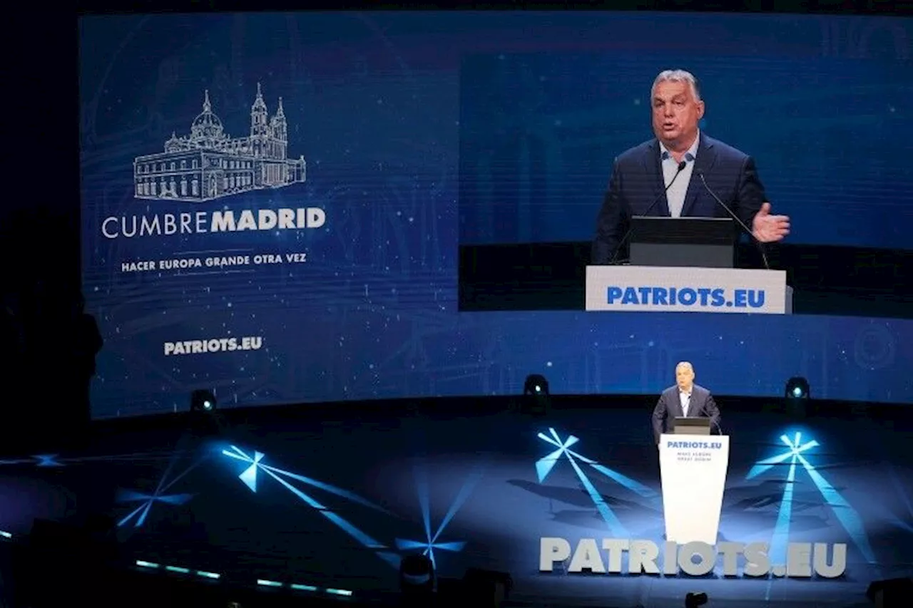 'Make Europe Great Again': l'extrême droite européenne s'affiche conquérante à Madrid