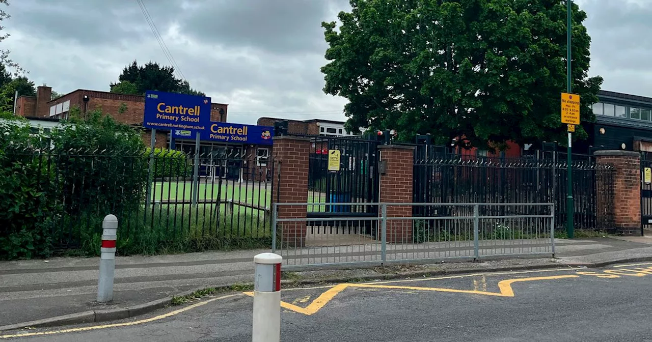 Cantrell Primary School Makes Progress but Still Requires Improvement to Safeguard Pupils