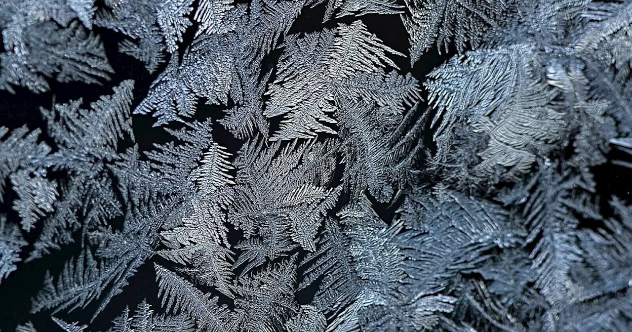 Die Vergänglichkeit der eisblumen