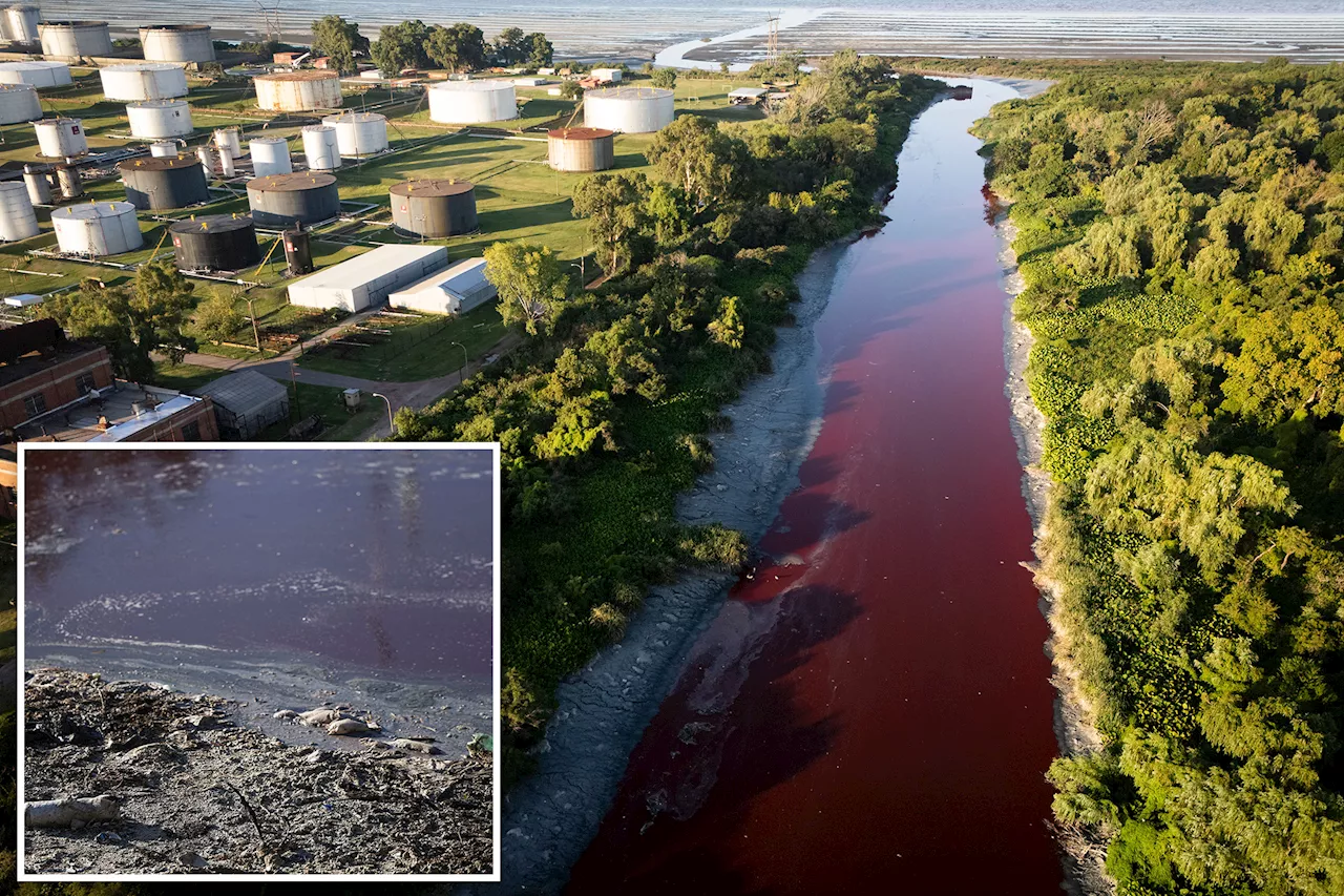 Argentina Canal Turns Bright Red, Sparking Environmental Concerns