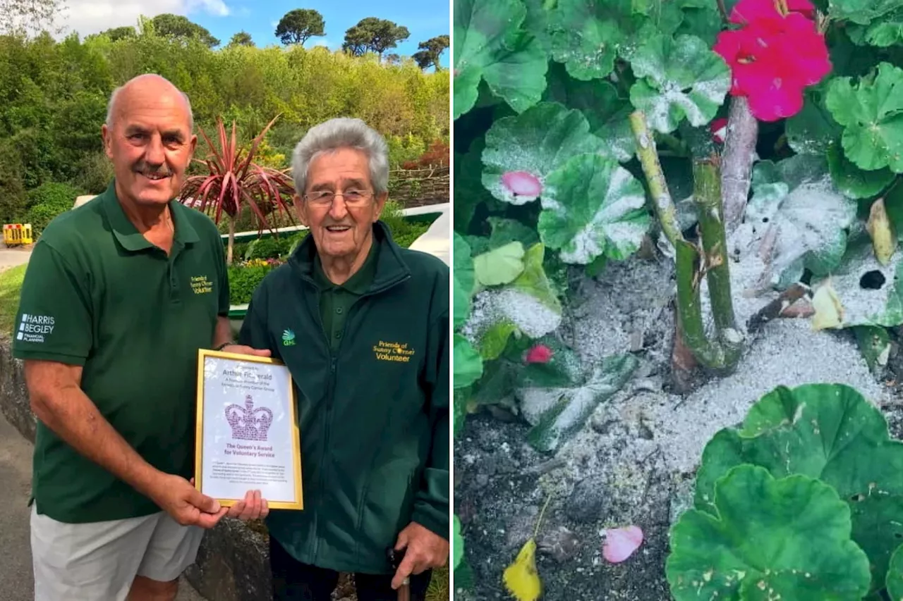 Mourners are scattering human ashes in a community garden and volunteers are ticked — for a gross reason: 'Quite distressing'