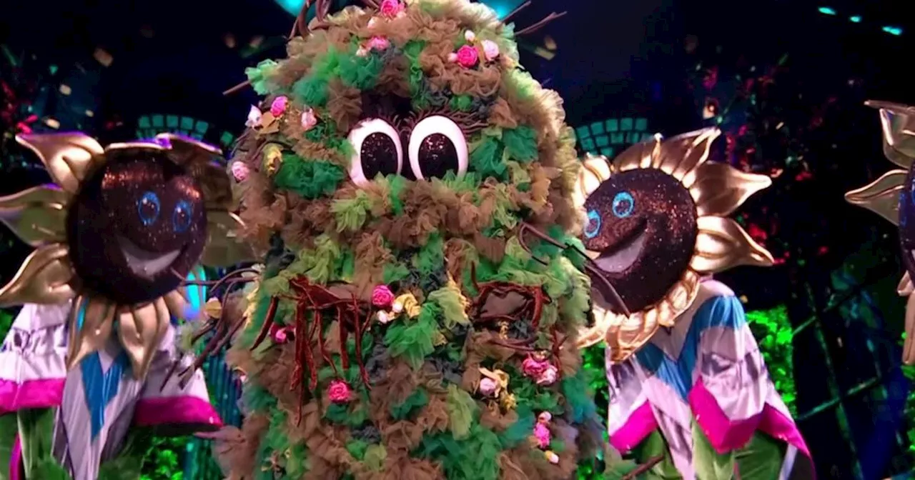 Another Celebrity Unmasked on The Masked Singer UK