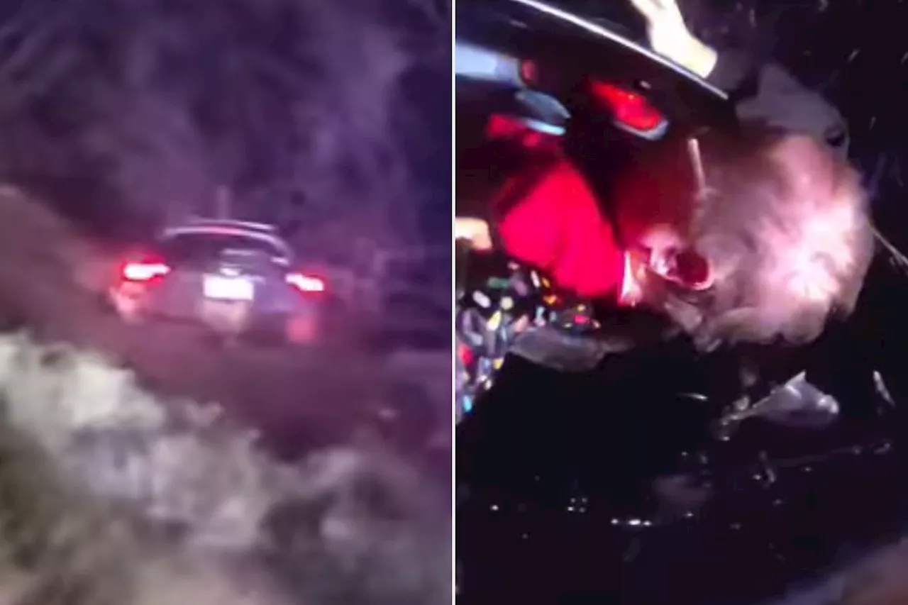 California Sheriff's Deputy Rescues Driver from Flooded Creek in Dramatic Body Cam Video