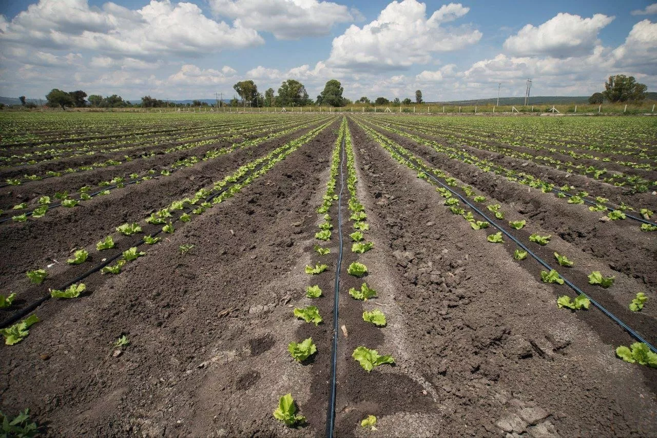 Advierten crisis de agua para el campo en Guanajuato durante 2025