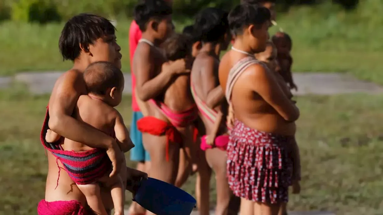 STF Dá Prazo para Governo Explicar Aumento de Casos de Malária na Yanomami