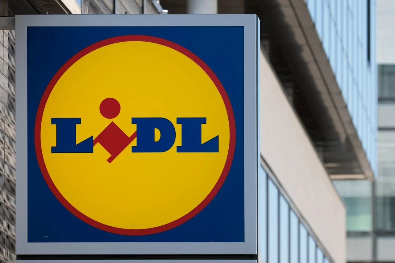 Grève illimitée chez Lidl : les salariés dénoncent les conditions de travail et l'ouverture dominicale