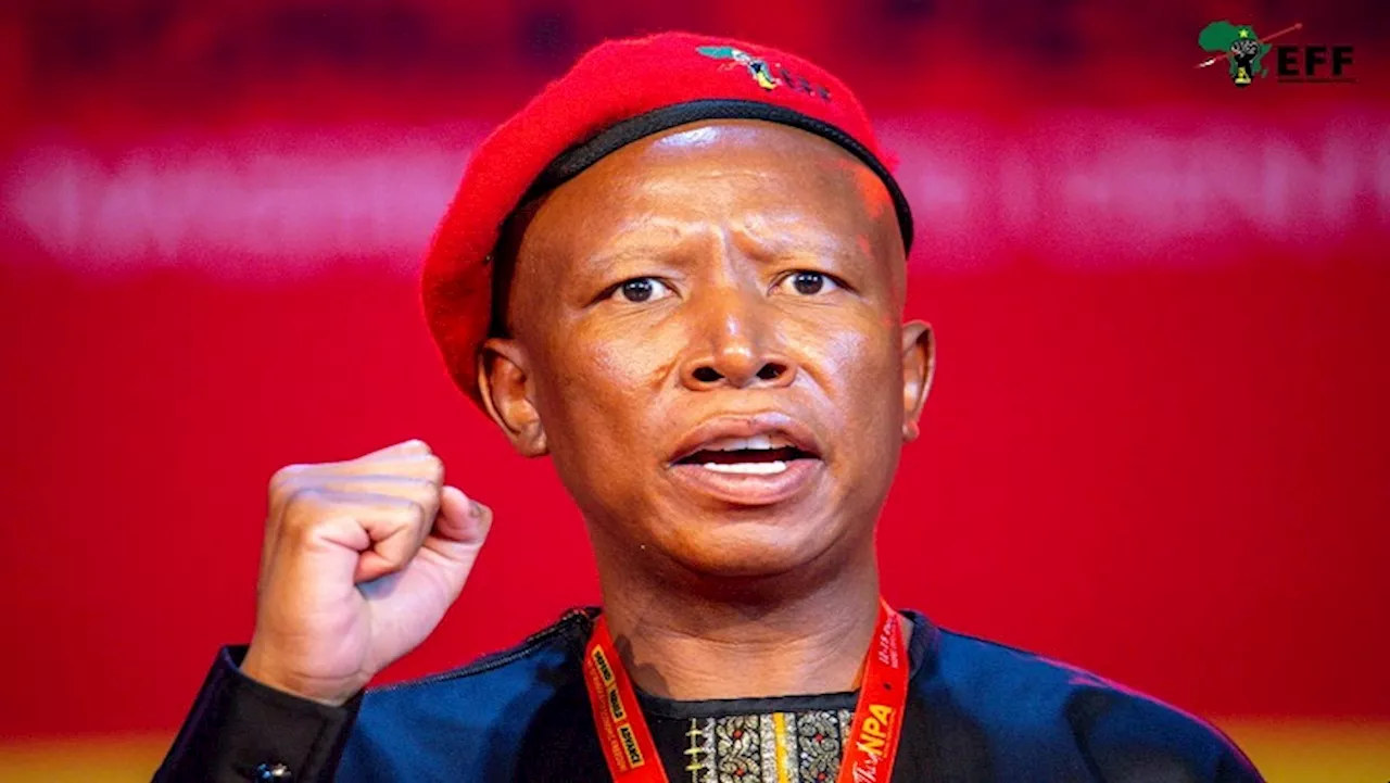 EFF wants citizenship of those who opt for US refugee status revoked - SABC News - Breaking news, special reports, world, business, sport coverage of all South African current events. Africa's news leader.