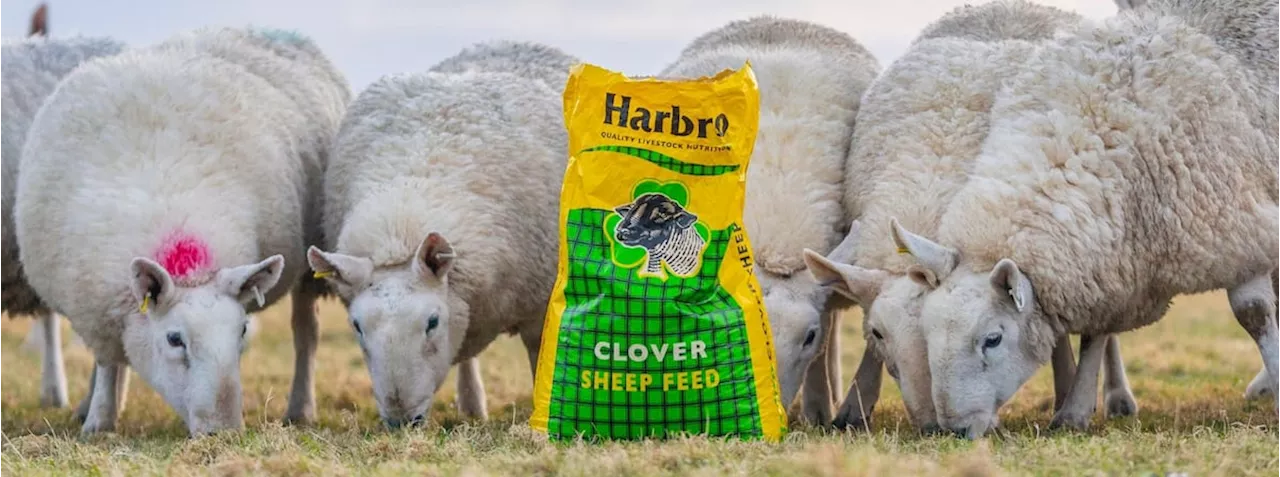 Harbro Partners with Convent Capital for Growth and Innovation in UK Agriculture